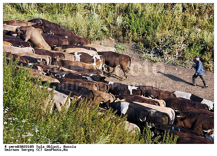 �������, �������� �������, ��������, ������, ��������, ����� �����, ����, ����, ������, ���� ���������, �����, �����