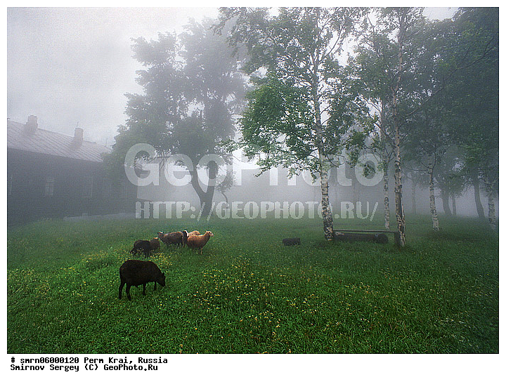 ���������� �����, �������� ����, �������, ���, ���, ����, �����������, ���� ��������, �����, �����