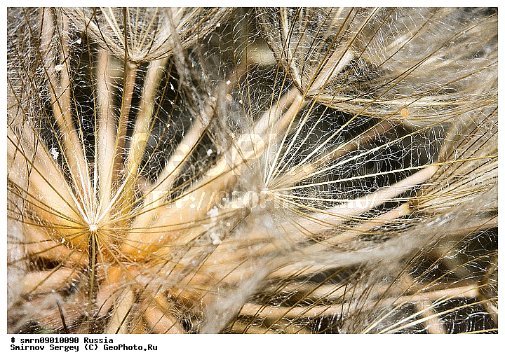 ����������� �������, �����, ��������, �����