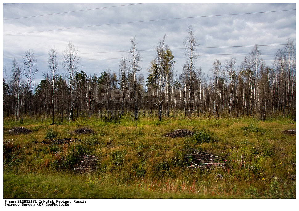 ��������� �������, ����������, ����������� ������, �����, ���, �������