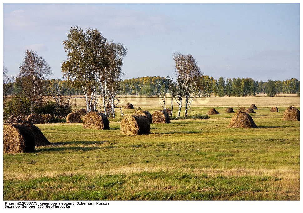 ����������� �������, ����������, ����������� ������, �����, ����, �����, ����, ����, ������, �������, ���, ������