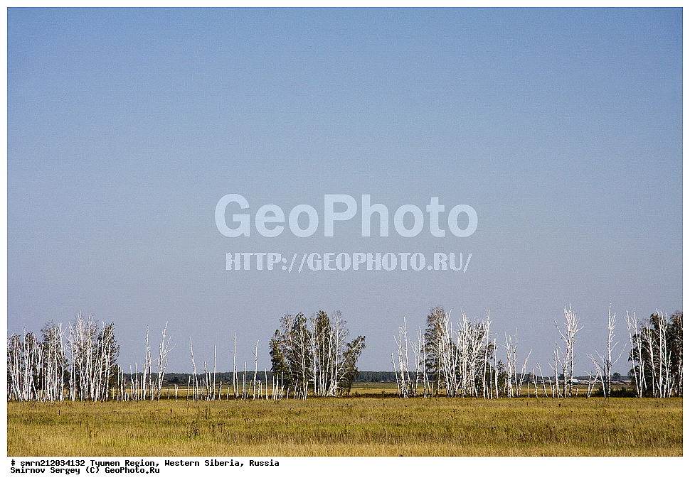 ������, ��������� �������, ����������, ���, �������, ������, �������� ������