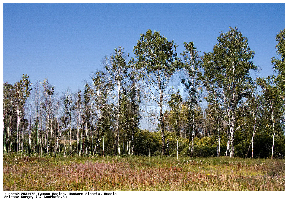 ������, ��������� �������, ����������, ����������� ������, �����, �������� ������, ���, ������� ���