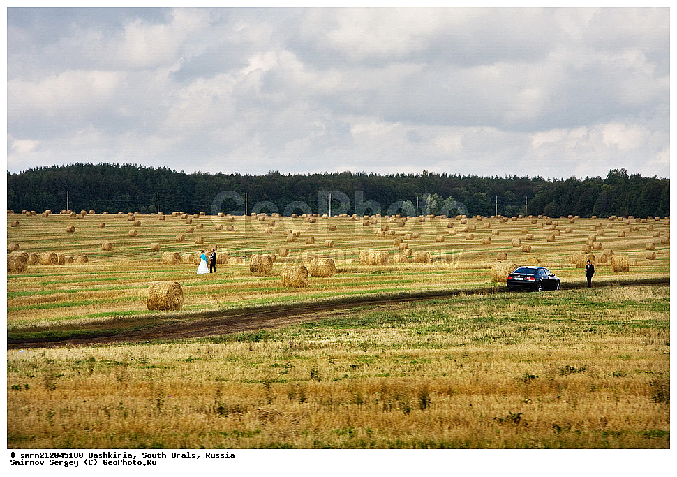 ��������, ����� ����, ������, ����, ����, ������, ����, �����, ����, ����������, �������, �����, ����������, �������, ���������� 