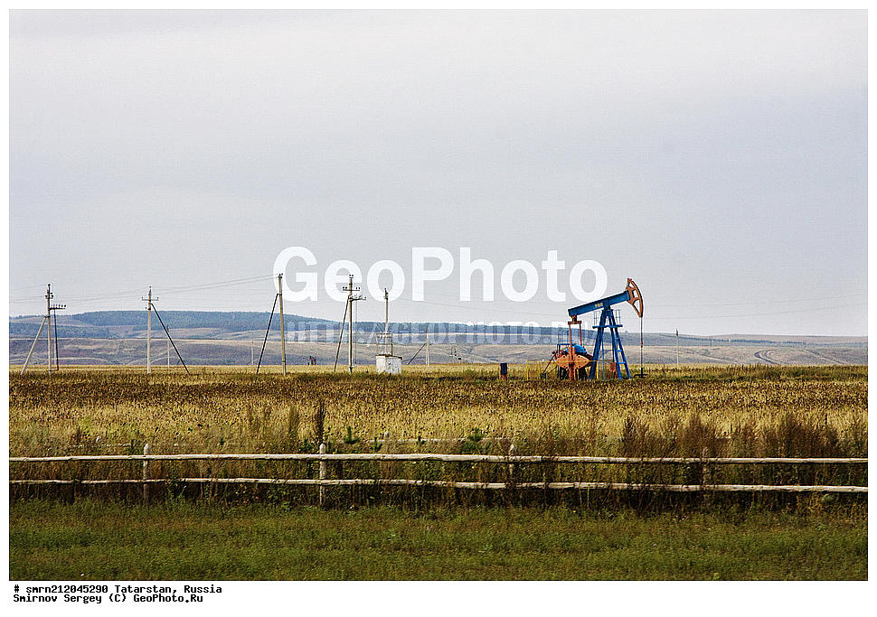 ���������, ������, ��������, �����������, ����