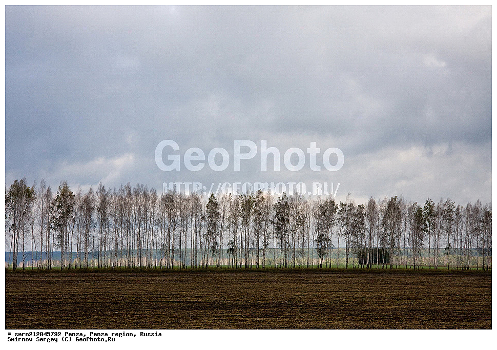 �����, ���������� �������,  ��������, ������, ����������, �������, ����, ���, ������