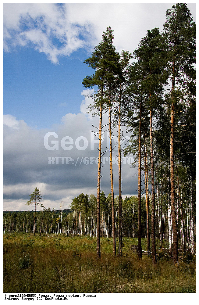 �����, ���������� �������,  ��������, ������, ���, �����, ���, �������, ������, ����