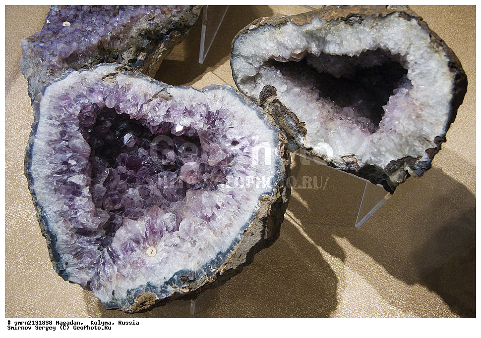 �������, ������, ������, ��������, ��������, �������������, �����, ��������, ��������, �������, �����, ����������� �����