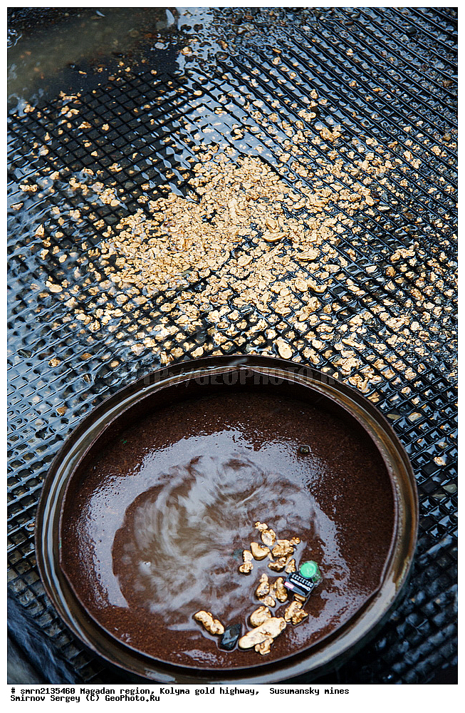 ����������� �������, ��������� ������, ����, �������, ������ ������, ������, ������, ����������, �����