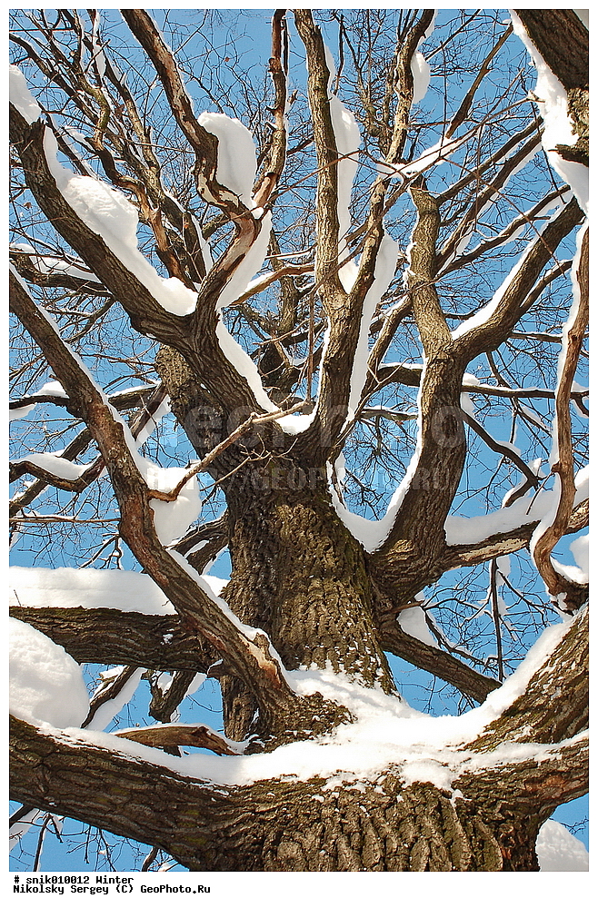 ����, ����, �������