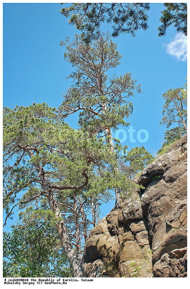 ������, ����������, �������, �����, �������