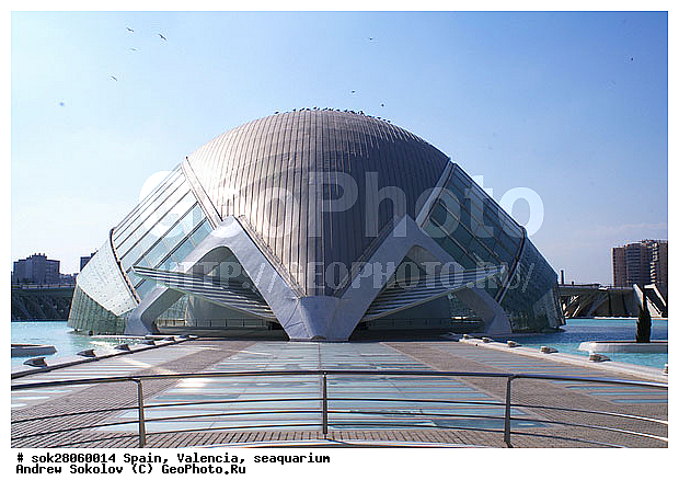 ��������, �������� ������� �������� �������� ������������� �������� ��������� ����������� �����������, �������, �����������