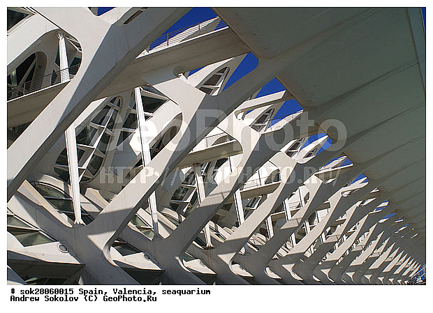 ��������, �������� ������� �������� �������� ������������� �������� ��������� ����������� �����������, �������, �����������