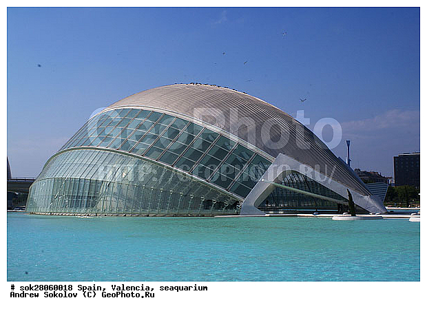 ��������, �������� ������� �������� �������� ������������� �������� ��������� ����������� �����������, �������, �����������