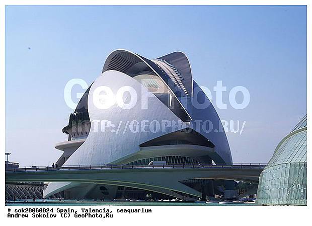 ��������, �������� ������� �������� �������� ������������� �������� ��������� ����������� �����������, �������, �����������