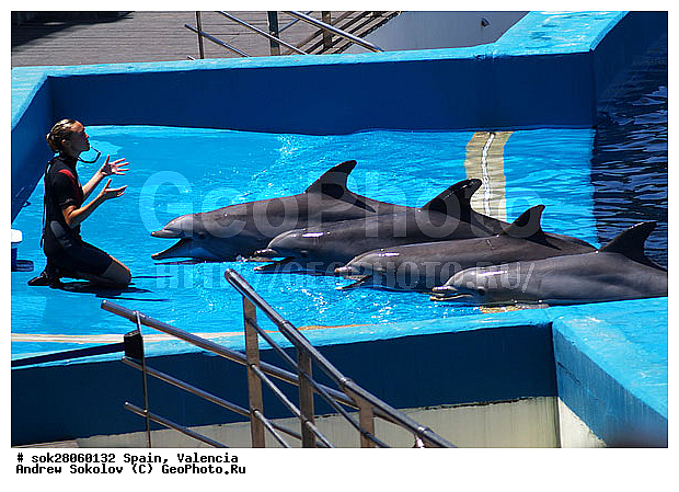 ��������, ������� ����������� �������� �������, �������, �����������