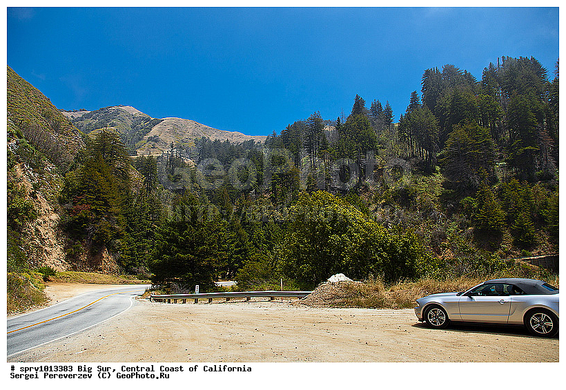 �������, ���-���, ����������, ��������, ���, �����, ����, ������ 1, �������, �����, ����, ���������, ���������, ������ 1