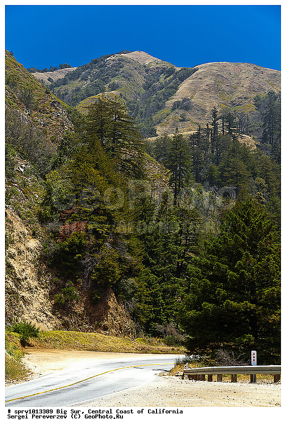 �������, ���-���, ����������, ��������, ���, �����, ����, ������ 1, �����, ����, ���������, ���������, ������ 1