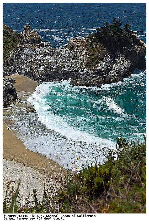 �������, ���-���, ������ ����� ����, ����������, ������, ��������, ���, �����, �������, ����, ������ 1, �����, ����, ���������, ������ 1