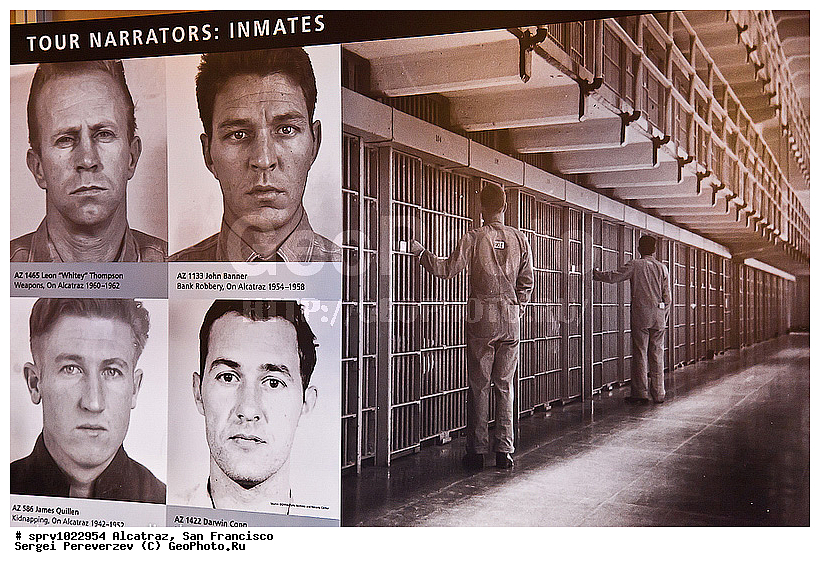 ���������, ���������, �������, ���������� , ���, �����������, �����, ������, �����, ������, ������ ���-���������