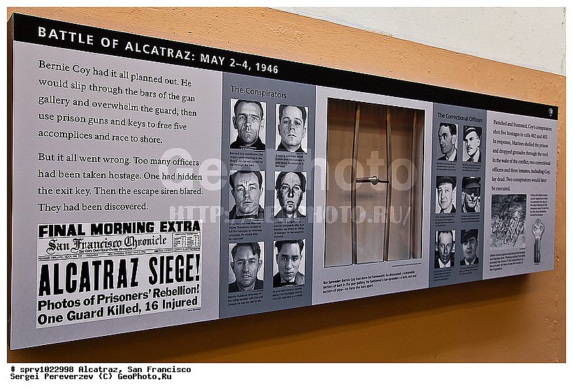 ��� ������, ���������, ���������, ����������, ���, ���-���������, �����������, �����, ������, �����, ������