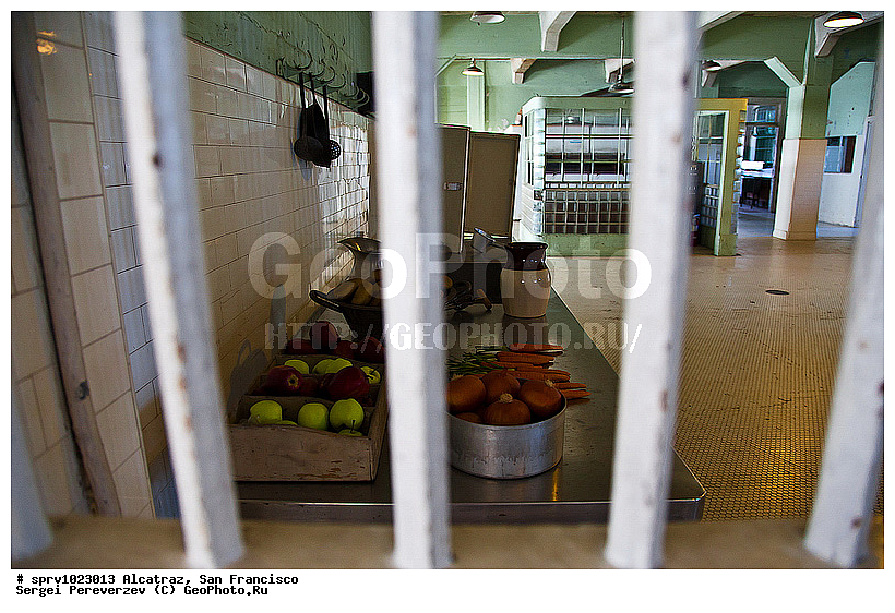 ���������, ���������, �������, ���������� , ���, �����������, �����, ������, �����, ������, ������ ���-���������