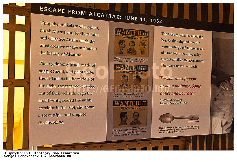 ���������, ���������, �������, ���������� , ���, �����������, �����, ������, �����, ������, ������ ���-���������