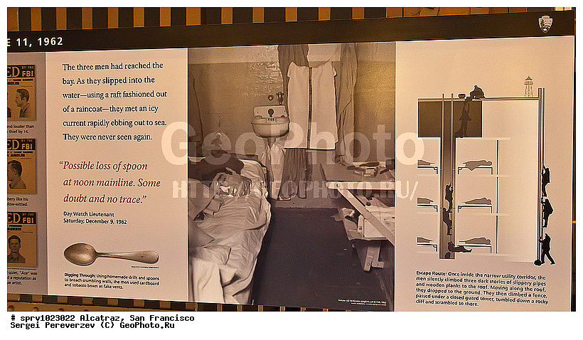 ��� ������, ���������, ���������, ����������, ���, ���-���������, �����������, �����, ������, �����, ������