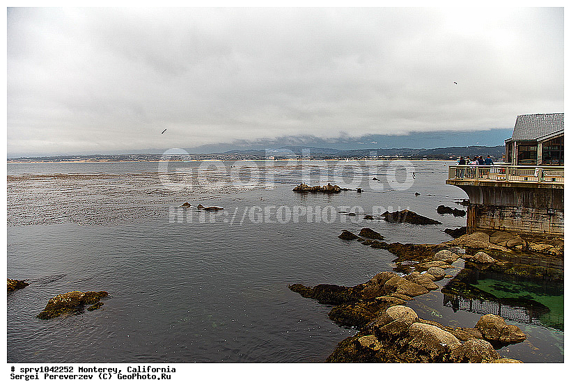 �������, ����������, ��������, ���, ��������, �����, ����, ���������