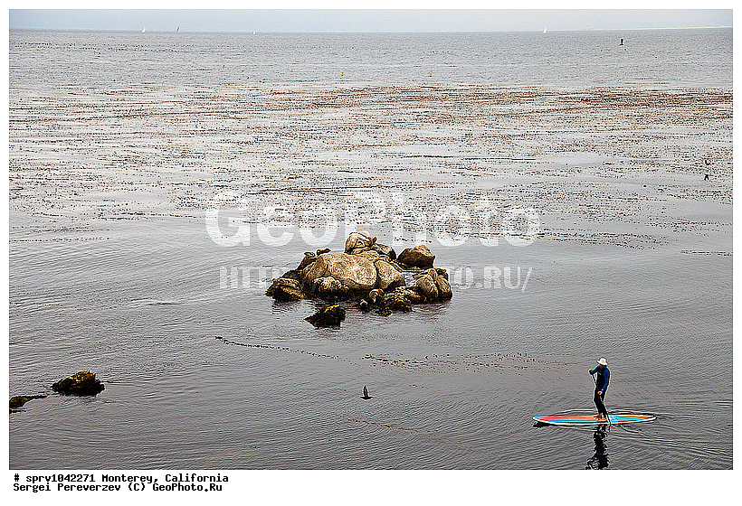 �������, ����������, ��������, ���, ����, �����, ���������