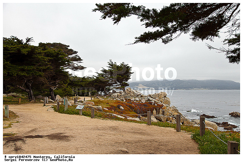 �������, ����������, ��������, ���, �����, ����, �����, ���������