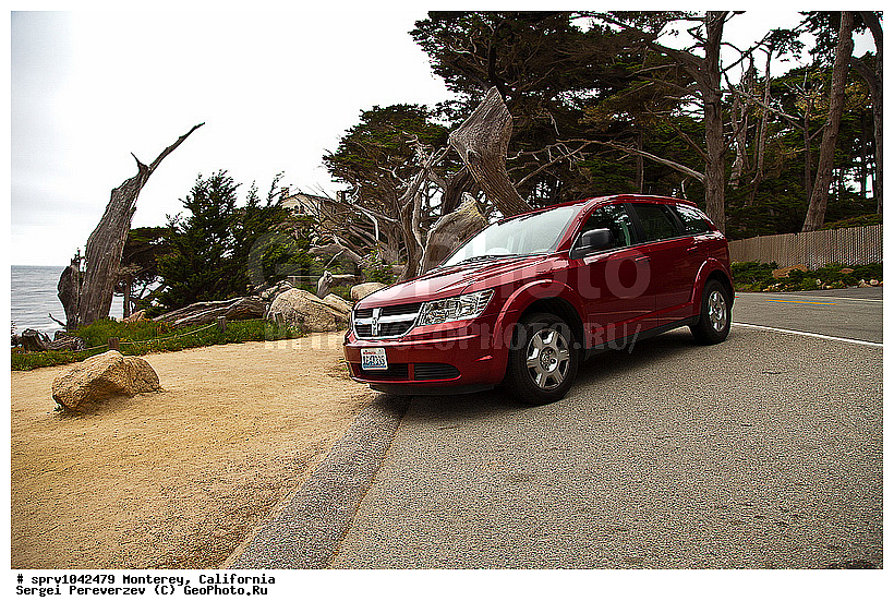 �������, ����, ����������, ��������, ���, ����, �������, ����, ���������