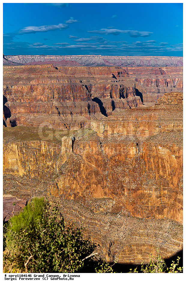 �������, ����� ������, ���