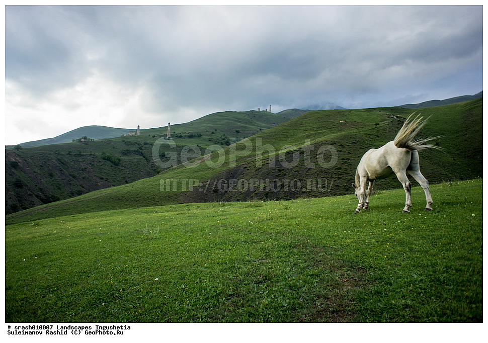 ������, ����, ������� ���������, ������