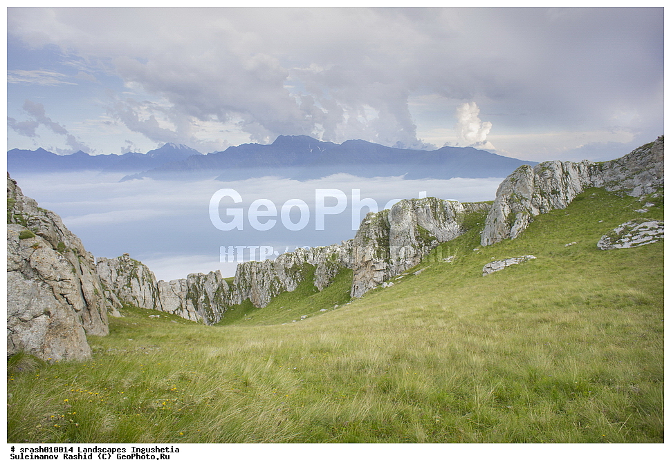 ������, ���������, ������, ������, �������� ����