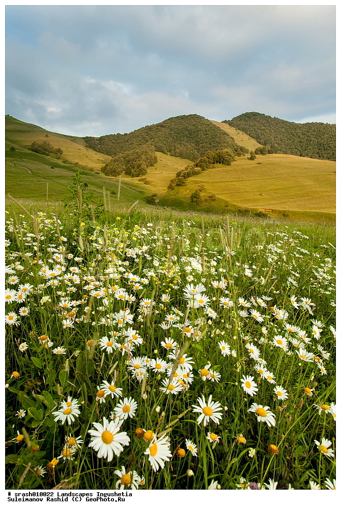 ������, ���������, ������, �������, �����