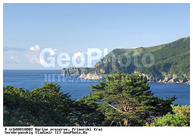 �������, ������, ��������, �������, ��������, ����������, �����, ���, ������, �������, ������, �����, ����������, ����, ��������, ����, ���, ���������, ����������, �����