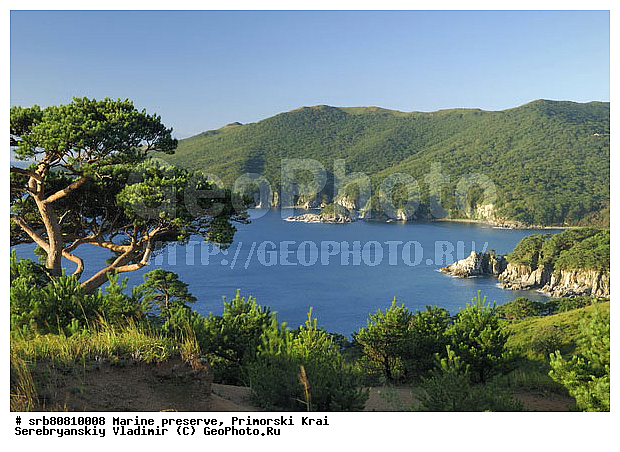 �������, ������, ��������, �������, ��������, ����������, �����, ���, ������, �������, ������, �����, ����������, ����, ��������, ����, ���������, ����������, �����