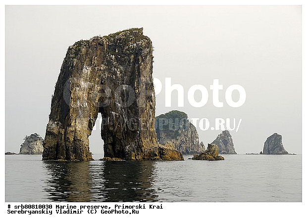 �������, ������, ��������, �������, ��������, ����������, ���, ������, �������, ����������, �������� ���������, ��������, ������, �����, �����, ����, �������� , ����, ����, �������, ���������, ����������, �����, ����