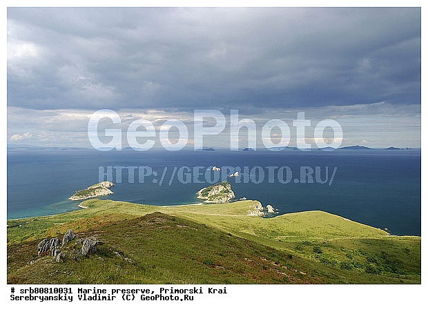 �������, ������, ��������, �������, ��������-���������, ��������, ���������, ����������, �����, ���, ������, �������, ����������, ����, ��������, ����, �������, ���������, ����������