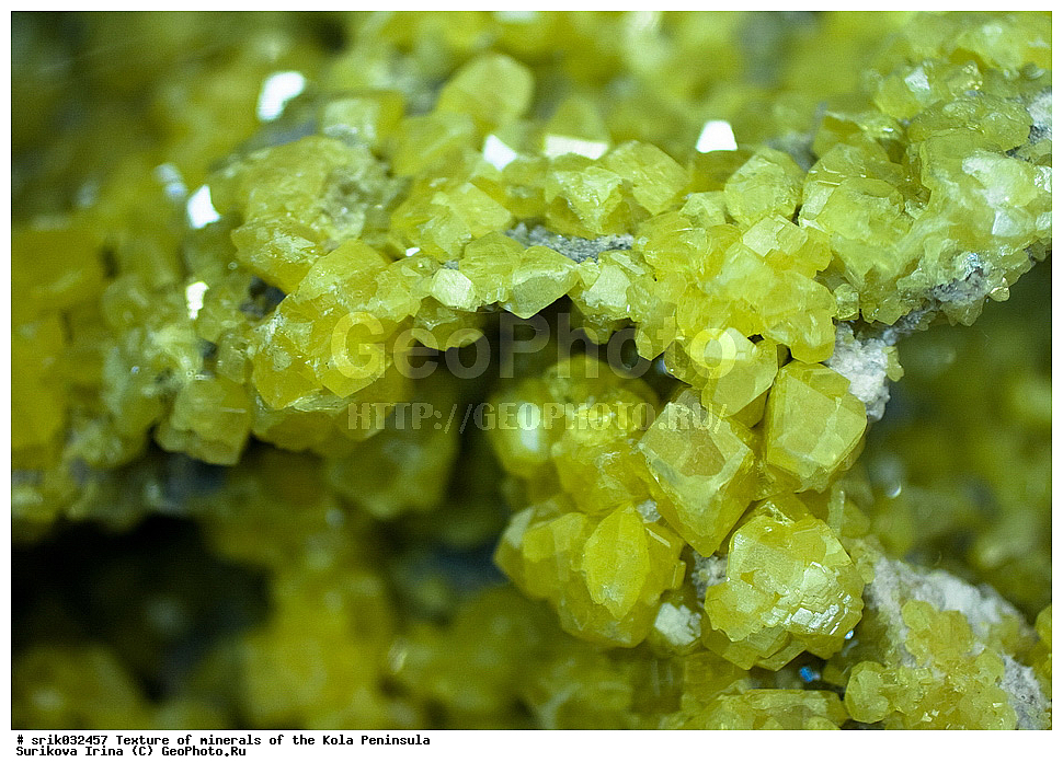 �������, �������� ����������, �������, ��������, ������, �����������, ������, �����, �������, �������, ��������������, �����������, ����������, ��������, �������, hibins, ������������, ���������, ���������, �����, �����������, ������ �������� ����������, ����, �����, ������������, ���������, ������, ����, ������, ����������, �����������, ������, ������, �����, ���������, ������,  ������, ����, ��������, ���������, 