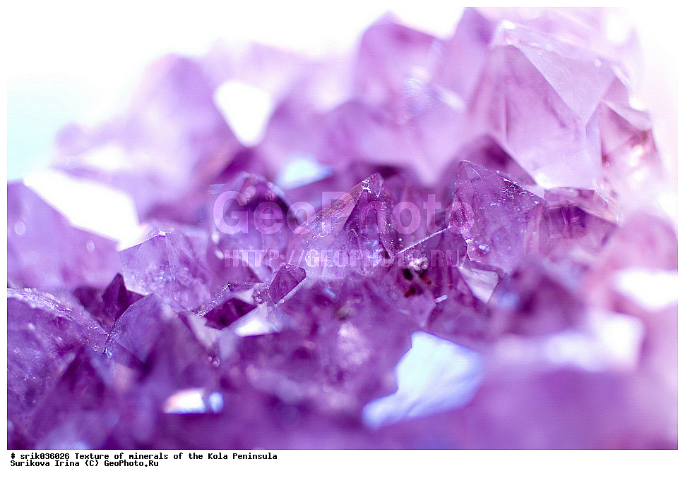 �������, �������, �������� ����������, �������, ��������, ������, �����������, ������, �����, �������, �������, ��������������, �����������, ����������, ��������, �������, hibins, ������������, ���������, ���������, �����, �����������, ������ �������� ����������, ����, �����, ������������, ���������, ������, ����, ������, ����������, �����������, ������, ������, �����, ���������, ������,  ������, ����, ��������, ���������, 