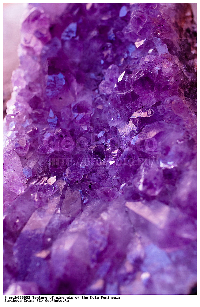 �������, �������, �������� ����������, �������, ��������, ������, �����������, ������, �����, �������, �������, ��������������, �����������, ����������, ��������, �������, hibins, ������������, ���������, ���������, �����, �����������, ������ �������� ����������, ����, �����, ������������, ���������, ������, ����, ������, ����������, �����������, ������, ������, �����, ���������, ������,  ������, ����, ��������, ���������, 