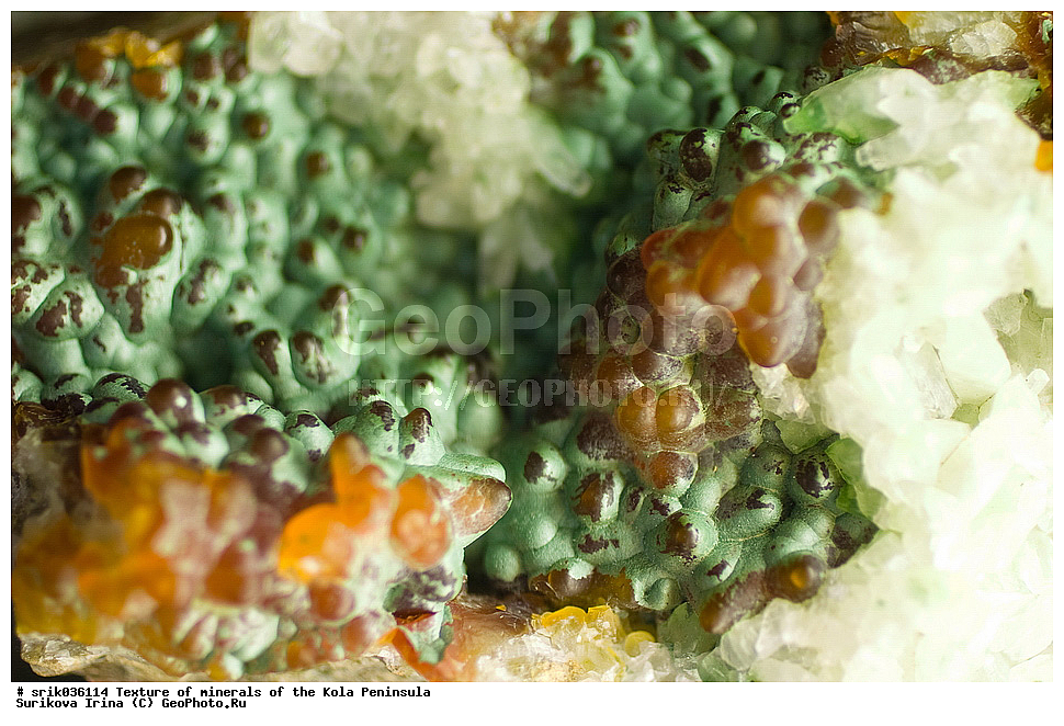 �������, �������� ����������, �������, ��������, ������, �����������, ������, �����, �������, �������, ��������������, �����������, ����������, ��������, �������, hibins, ������������, ���������, ���������, �����, �����������, ������ �������� ����������, ����, �����, ������������, ���������, ������, ����, ������, ����������, �����������, ������, ������, �����, ���������, ������,  ������, ����, ��������, ���������, 