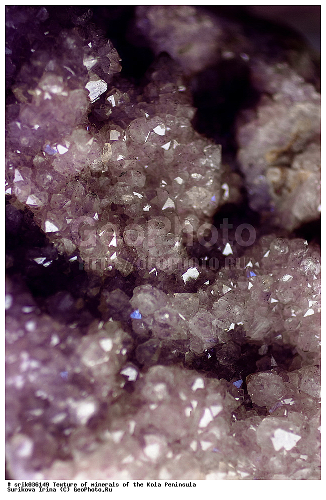 �������, �������� �����, �������� ����������, �������, ��������, ������, �����������, ������, �����, �������, �������, ��������������, �����������, ����������, ��������, �������, hibins, ������������, ���������, ���������, �����, �����������, ������ �������� ����������, ����, �����, ������������, ���������, ������, ����, ������, ����������, �����������, ������, ������, �����, ���������, ������,  ������, ����, ��������, ���������, 