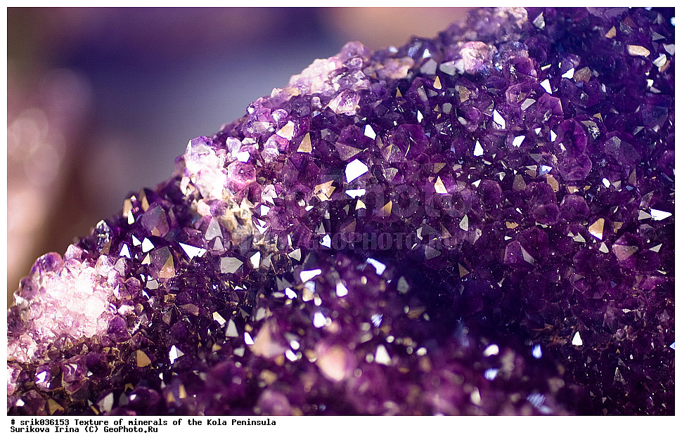 �������, �������, �������� ����������, �������, ��������, ������, �����������, ������, �����, �������, �������, ��������������, �����������, ����������, ��������, �������, hibins, ������������, ���������, ���������, �����, �����������, ������ �������� ����������, ����, �����, ������������, ���������, ������, ����, ������, ����������, �����������, ������, ������, �����, ���������, ������,  ������, ����, ��������, ���������, 