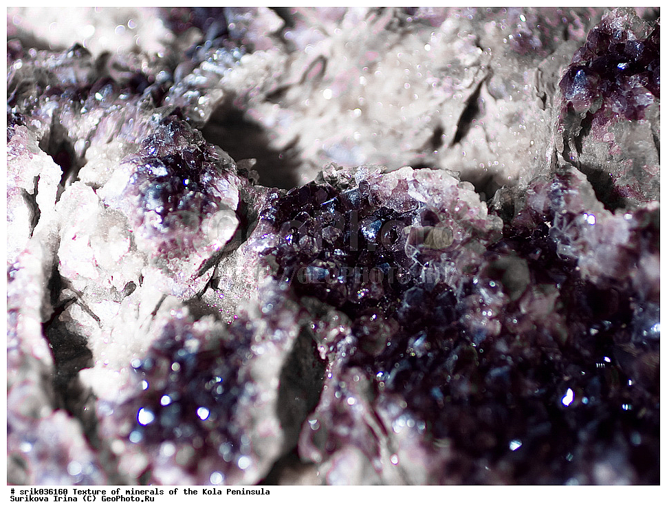 �������, �������� �����, �������� ����������, �������, ��������, ������, �����������, ������, �����, �������, �������, ��������������, �����������, ����������, ��������, �������, hibins, ������������, ���������, ���������, �����, �����������, ������ �������� ����������, ����, �����, ������������, ���������, ������, ����, ������, ����������, �����������, ������, ������, �����, ���������, ������,  ������, ����, ��������, ���������, 