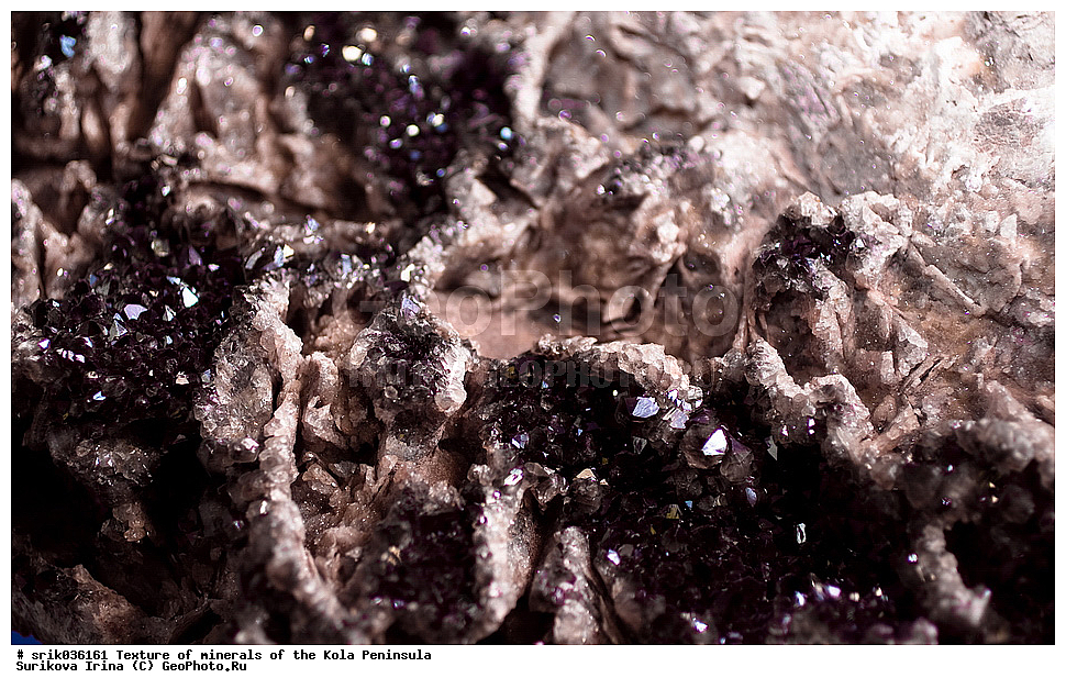 �������, �������� �����, �������� ����������, �������, ��������, ������, �����������, ������, �����, �������, �������, ��������������, �����������, ����������, ��������, �������, hibins, ������������, ���������, ���������, �����, �����������, ������ �������� ����������, ����, �����, ������������, ���������, ������, ����, ������, ����������, �����������, ������, ������, �����, ���������, ������,  ������, ����, ��������, ���������, 