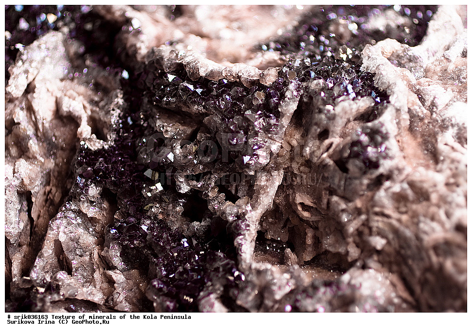 �������, �������� �����, �������� ����������, �������, ��������, ������, �����������, ������, �����, �������, �������, ��������������, �����������, ����������, ��������, �������, hibins, ������������, ���������, ���������, �����, �����������, ������ �������� ����������, ����, �����, ������������, ���������, ������, ����, ������, ����������, �����������, ������, ������, �����, ���������, ������,  ������, ����, ��������, ���������, 