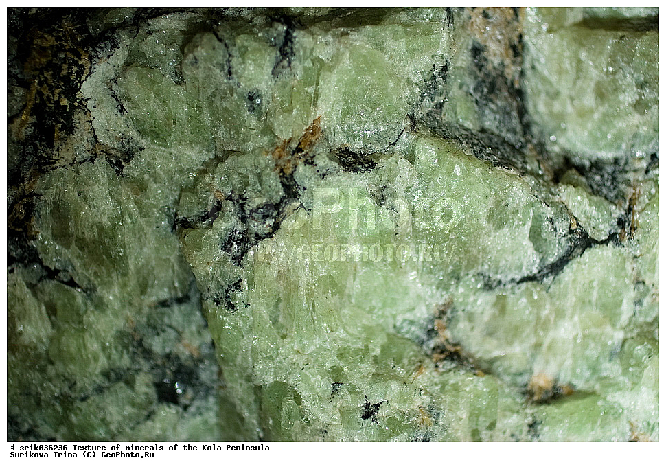 �������, �������� ����������, �������, ��������, ������, �����������, ������, �����, �������, �������, ��������������, �����������, ����������, ��������, �������, hibins, ������������, ���������, ���������, �����, �����������, ������ �������� ����������, ����, �����, ������������, ���������, ������, ����, ������, ����������, �����������, ������, ������, �����, ���������, ������,  ������, ����, ��������, ���������, 